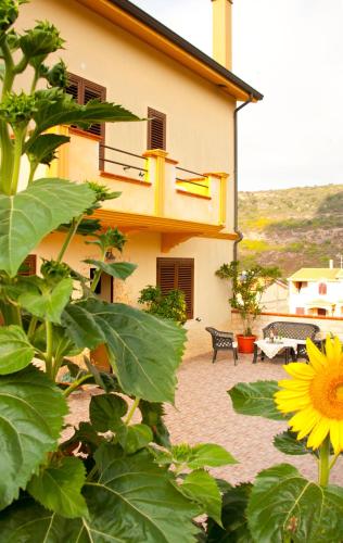 B&B Sandalia