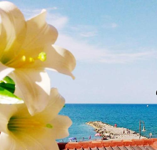 Al Giglio