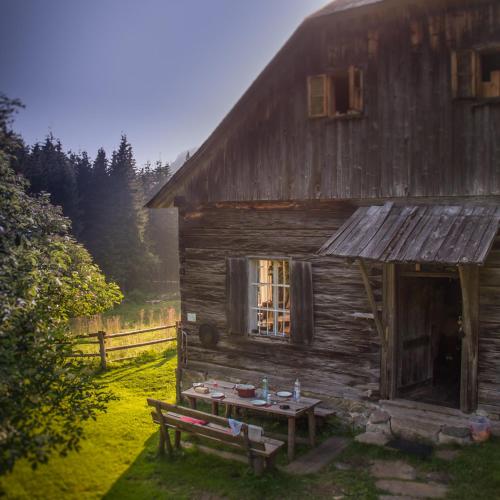 Almhütte Waldbauer